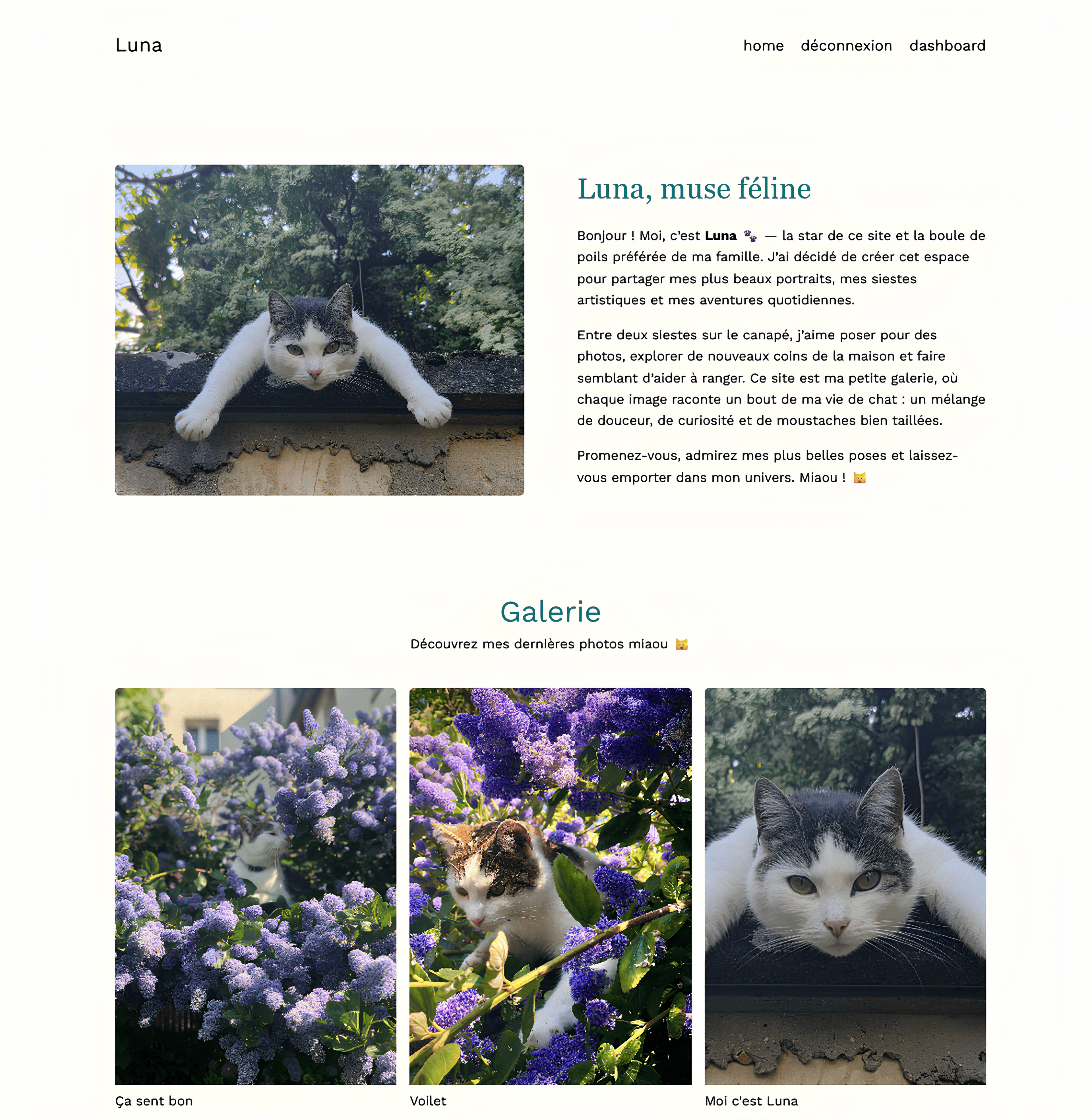 Aperçu projet Luna