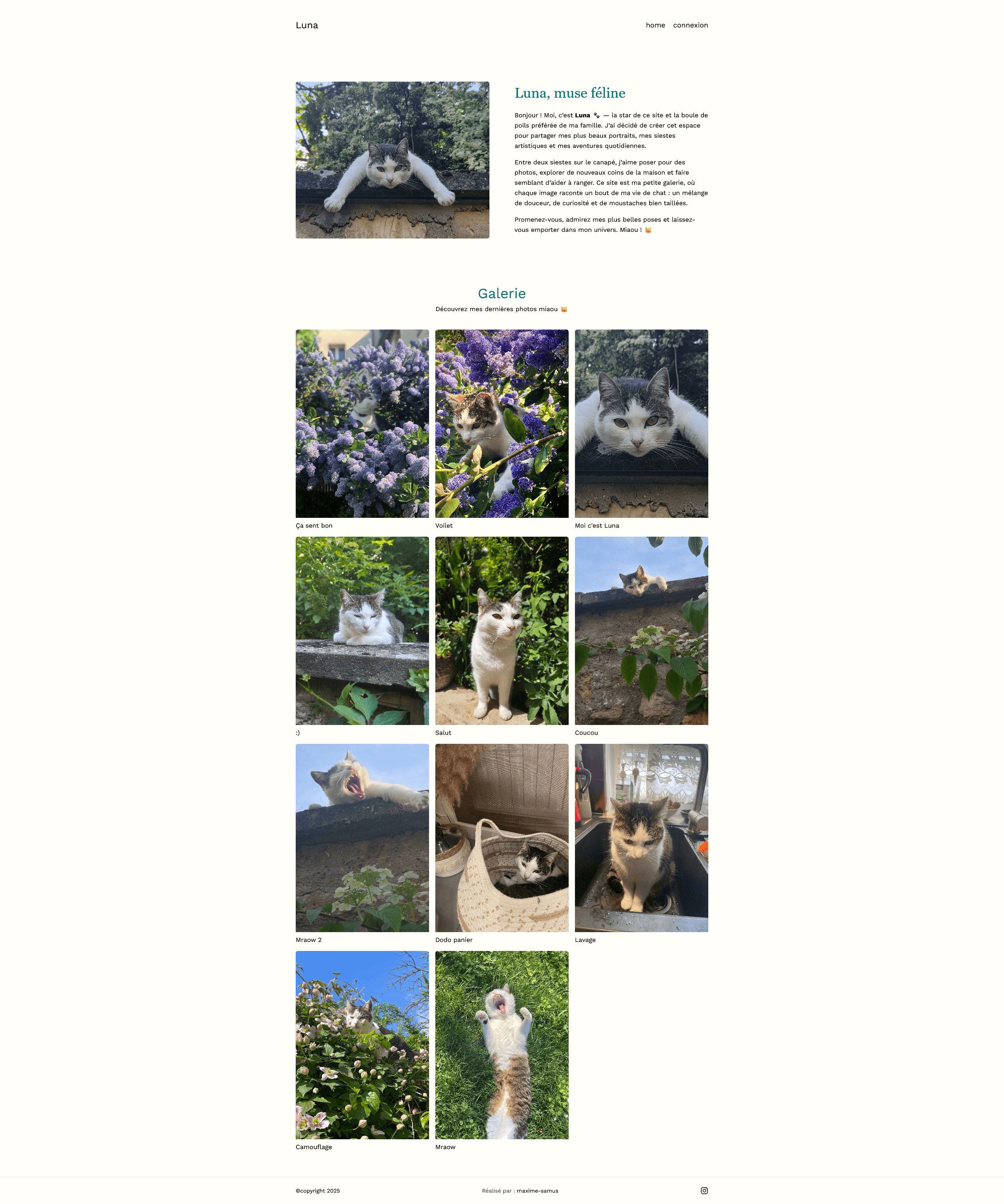 Left Image