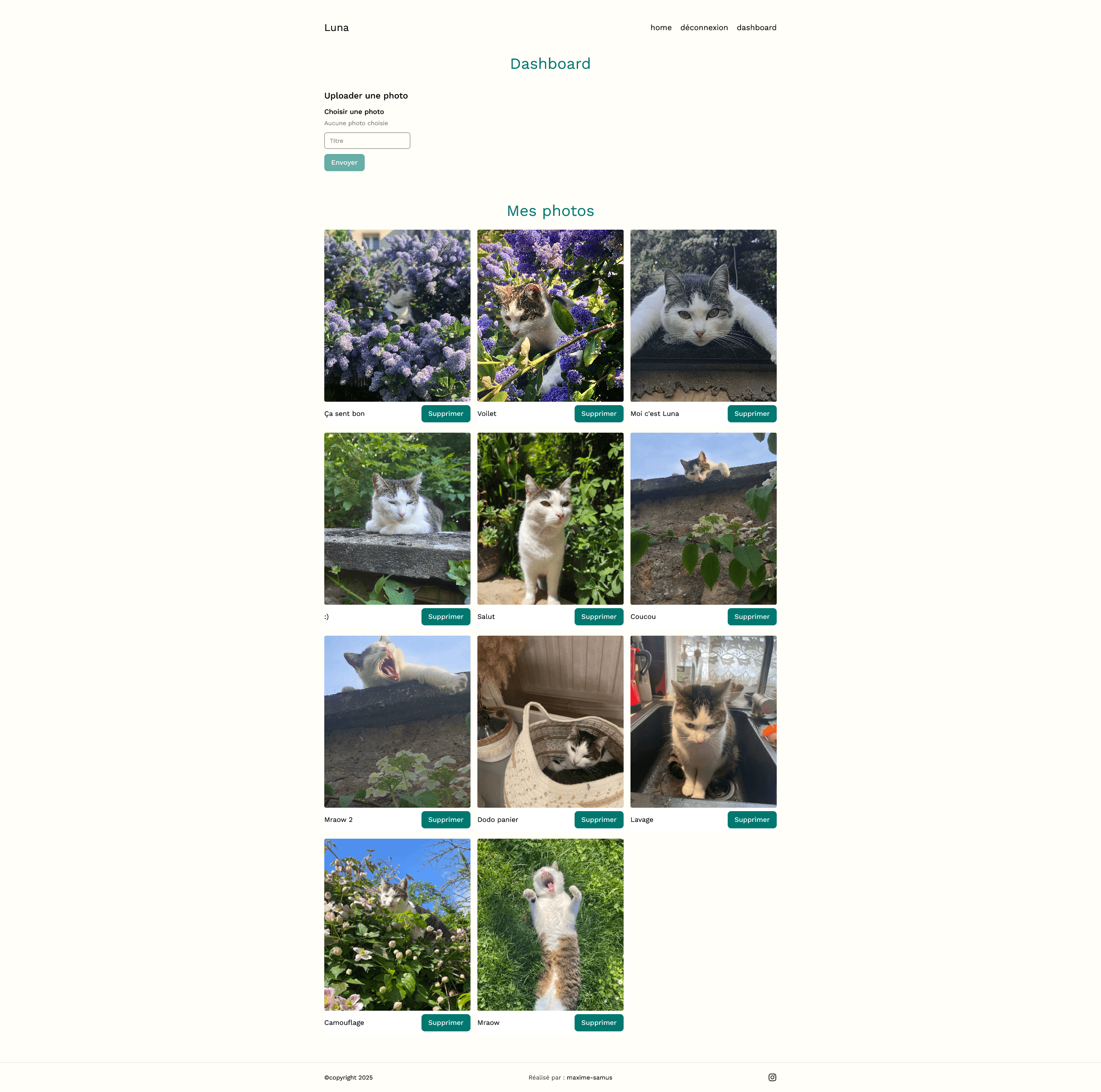 Right Image